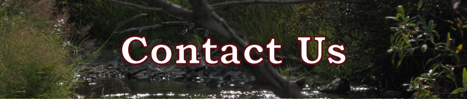 Contact Us