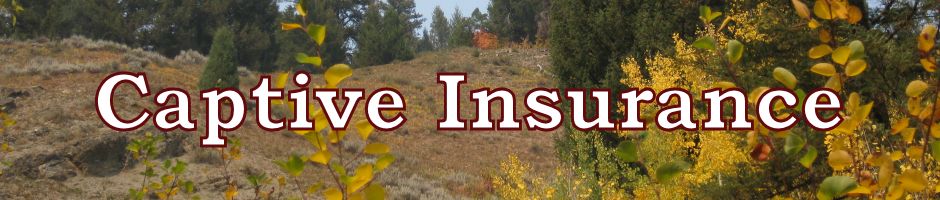 Captive Insurance
